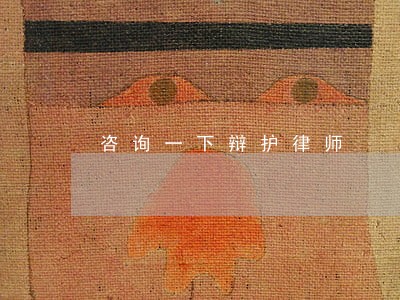 咨询一下辩护律师 咨询一下辩护律师