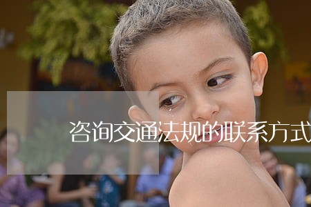 咨询交通法规的联系方式 咨询交通法规的联系方式