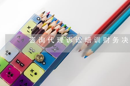 咨询代理诉讼培训财务决算 咨询代理诉讼培训财务决算
