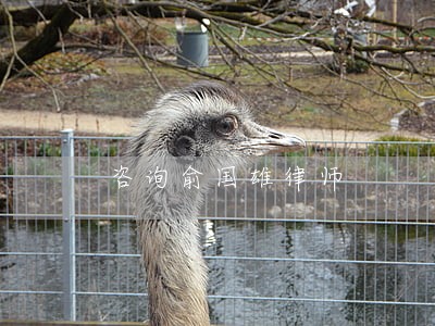 咨询俞国雄律师 咨询俞国雄律师
