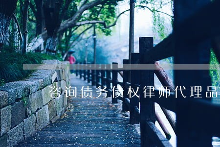 咨询债务债权律师代理品牌 咨询债务债权律师代理品牌