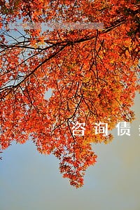咨询债务债权律师收费多少钱 咨询债务债权律师收费多少钱