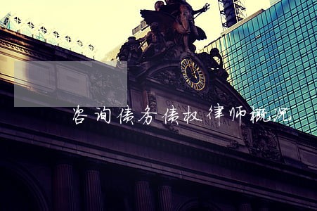 咨询债务债权律师概况 咨询债务债权律师概况