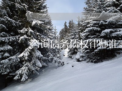 咨询债务债权律师谁家好 咨询债务债权律师谁家好