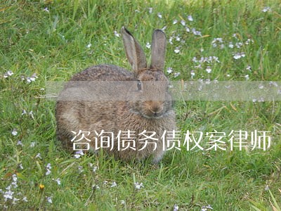 咨询债务债权案律师 咨询债务债权案律师