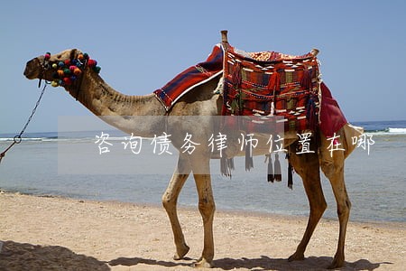 咨询债务律师位置在哪 咨询债务律师位置在哪