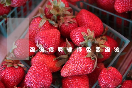 咨询债务律师免费咨询 咨询债务律师免费咨询