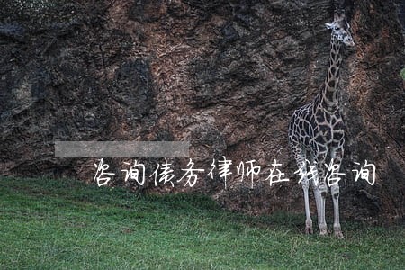 咨询债务律师在线咨询 咨询债务律师在线咨询