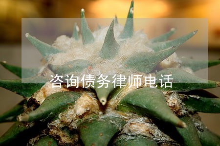 咨询债务律师电话 咨询债务律师电话
