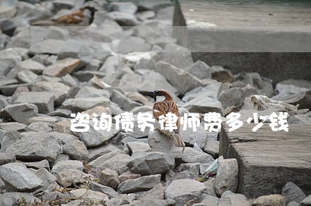 咨询债务律师费多少钱 咨询债务律师费多少钱
