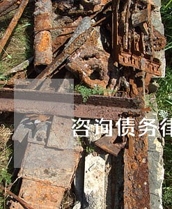 咨询债务律师顾问哪个好 咨询债务律师顾问哪个好