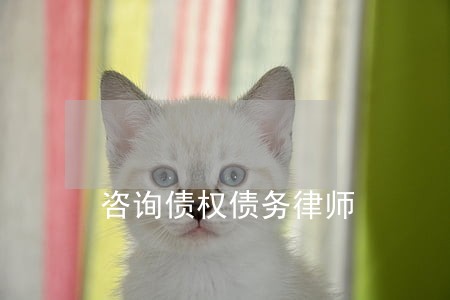 咨询债权债务律师 咨询债权债务律师