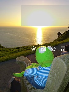 咨询公司律师