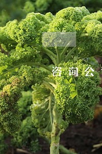 咨询公司提供法律咨询 咨询公司提供法律咨询