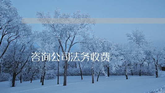 咨询公司法务收费