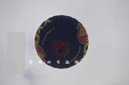 咨询公司法所 咨询公司法所