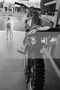 咨询刑事辩护律师哪家好 咨询刑事辩护律师哪家好