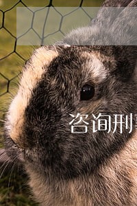 咨询刑事辩护律师收费 咨询刑事辩护律师收费