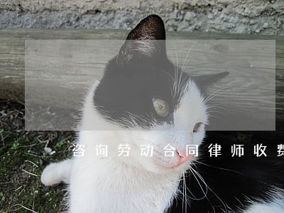 咨询劳动合同律师收费 咨询劳动合同律师收费