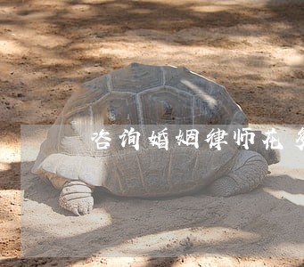 咨询婚姻律师花多少钱 咨询婚姻律师花多少钱