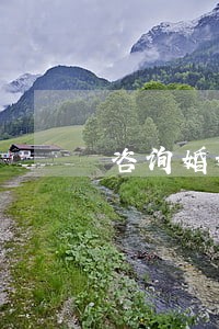 咨询婚姻离婚律师咨询