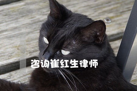 咨询崔红生律师