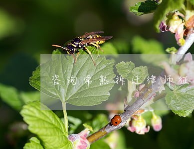 咨询常熟拆迁律师征迁 咨询常熟拆迁律师征迁