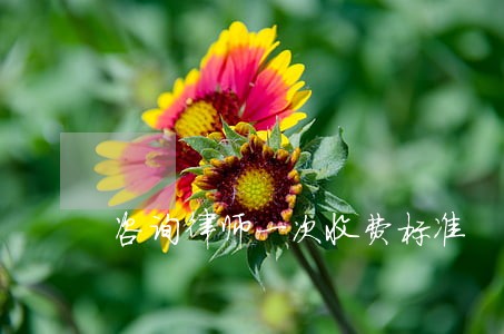 咨询律师一次收费标准 咨询律师一次收费标准