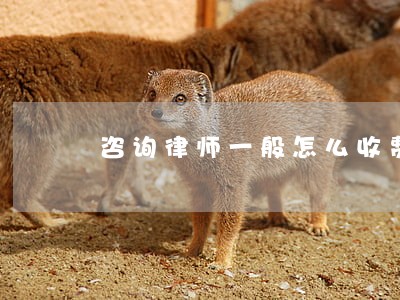 咨询律师一般怎么收费 咨询律师一般怎么收费