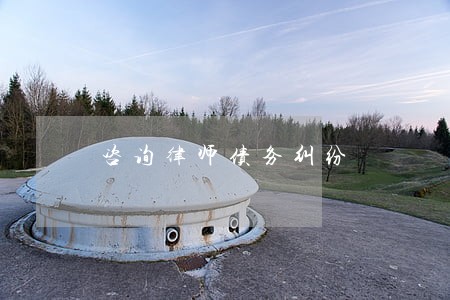 咨询律师债务纠纷 咨询律师债务纠纷