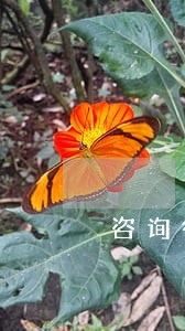 咨询律师小时 咨询律师小时