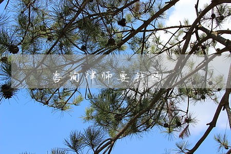 咨询律师要钱吗 咨询律师要钱吗