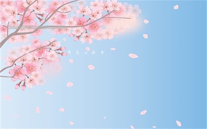 咨询律师费用怎么收费 咨询律师费用怎么收费