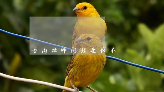 咨询律师问题收钱不 咨询律师问题收钱不