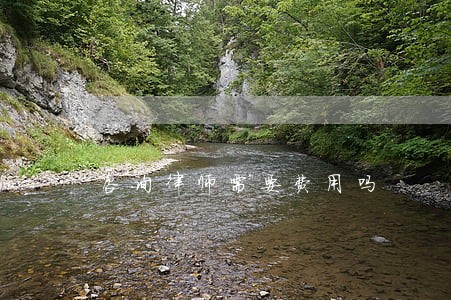 咨询律师需要费用吗