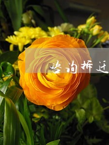 咨询拆迁律师位置在哪 咨询拆迁律师位置在哪