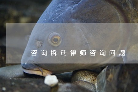 咨询拆迁律师咨询问题 咨询拆迁律师咨询问题