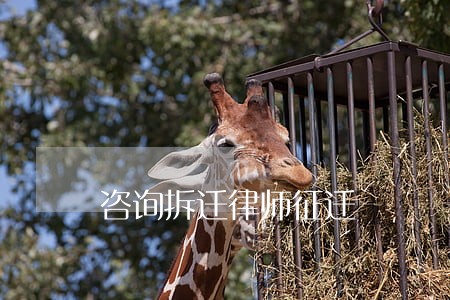 咨询拆迁律师征迁 咨询拆迁律师征迁