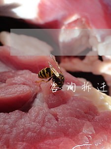 咨询拆迁律师机构 咨询拆迁律师机构