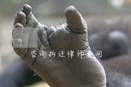 咨询拆迁律师费用 咨询拆迁律师费用