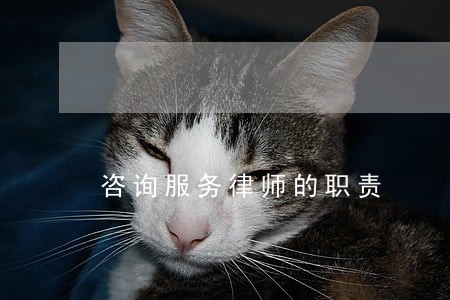 咨询服务律师的职责