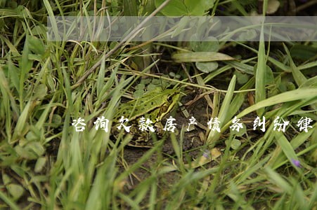 咨询欠款房产债务纠纷律师电话 咨询欠款房产债务纠纷律师电话