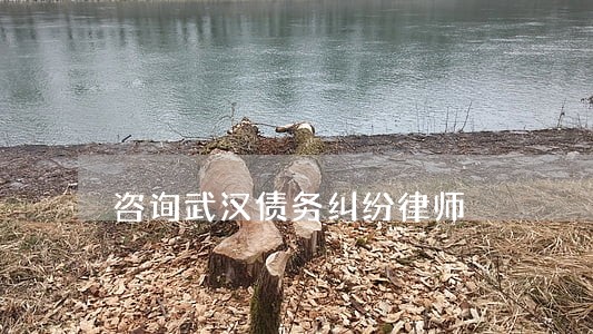 咨询武汉债务纠纷律师 咨询武汉债务纠纷律师
