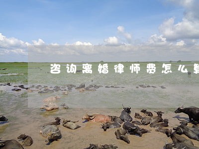 咨询离婚律师费怎么算 咨询离婚律师费怎么算