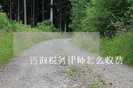 咨询税务律师怎么收费 咨询税务律师怎么收费