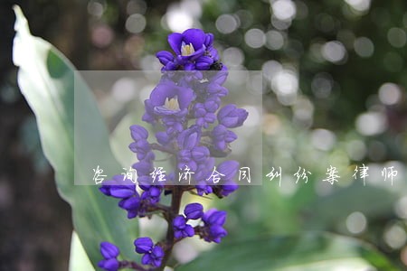 咨询经济合同纠纷案律师代理费 咨询经济合同纠纷案律师代理费