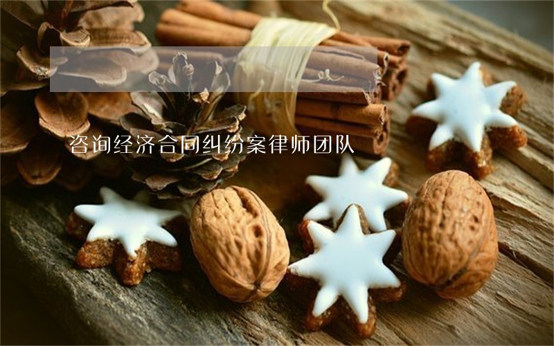 咨询经济合同纠纷案律师团队