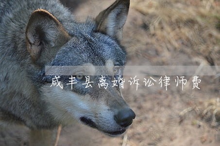咸丰县离婚诉讼律师费 咸丰县离婚诉讼律师费