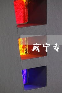 咸宁专业婚姻律师网上咨询 咸宁专业婚姻律师网上咨询