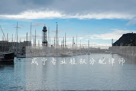 咸宁专业股权分配律师 咸宁专业股权分配律师